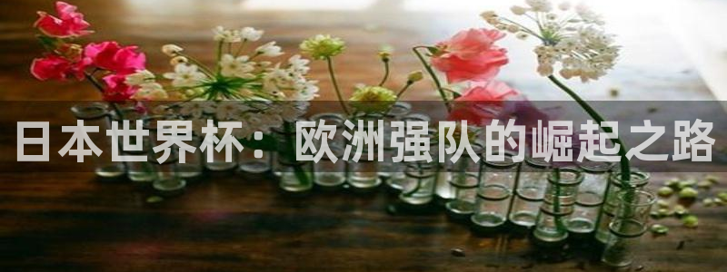 世界杯附加赛赛程表:日本世界杯:欧洲强队的崛起之路