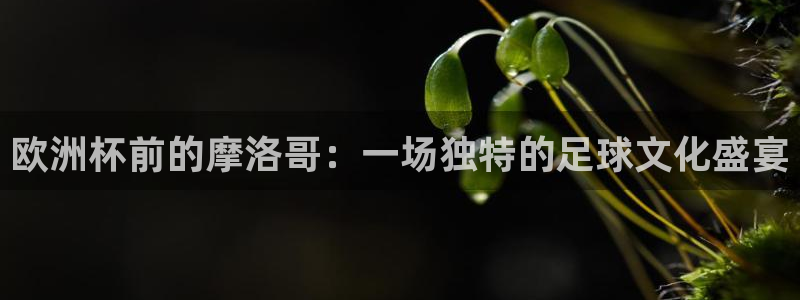 世界杯比赛赛程：欧洲杯前的摩洛哥：一场独特的足球文化盛宴