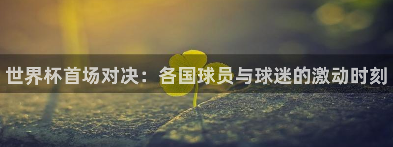 2026世界杯亚洲区预选赛赛程：世界杯首场对决：各国球员与球迷的激动时刻