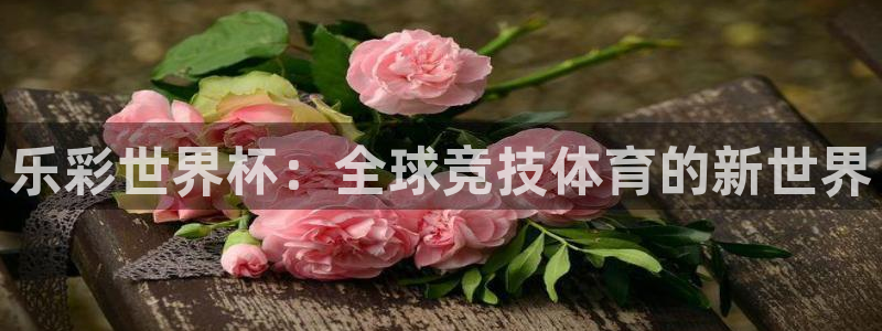 世界杯 赛程：乐彩世界杯：全球竞技体育的新世界