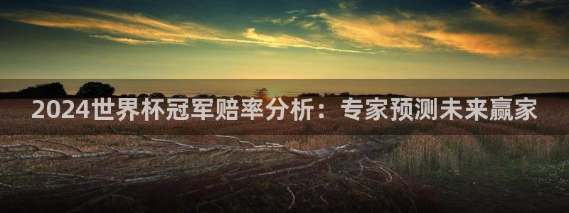 2026世界杯官网入口：2024世界杯冠军赔率分析：专家预测未来赢家