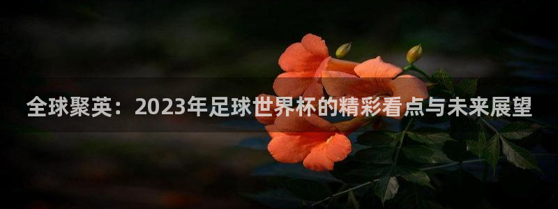 今年世界杯:全球聚英:2023年足球世界杯的精彩看点与未来展望