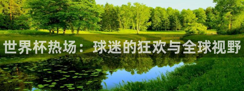 足球世界杯赛程:世界杯热场:球迷的狂欢与全球视野