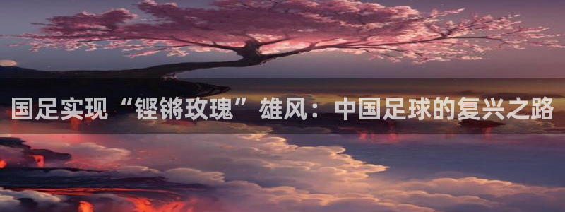 美国世界杯:国足实现“铿锵玫瑰”雄风:中国足球的复兴之路