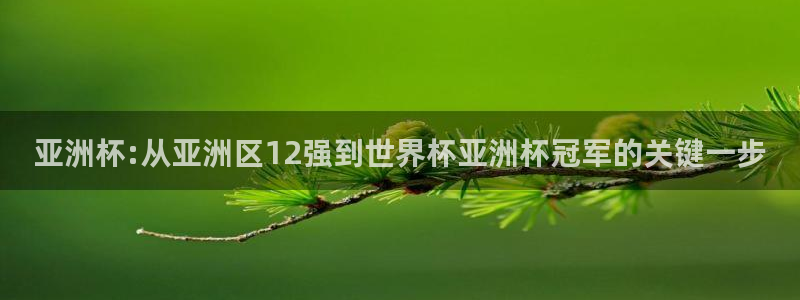 世界杯16强赛程表:亚洲杯:从亚洲区12强到世界杯亚洲杯冠军的关键一步