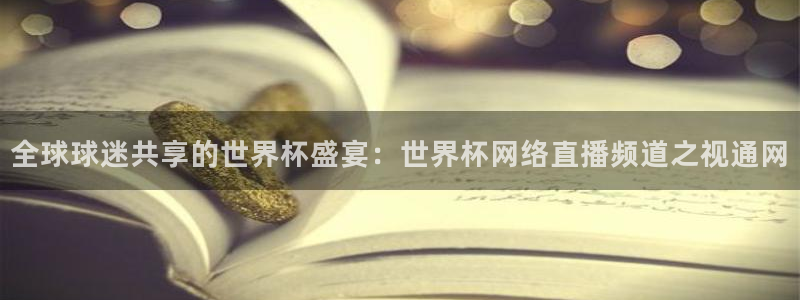 世界杯今年：全球球迷共享的世界杯盛宴：世界杯网络直播频道之视通网