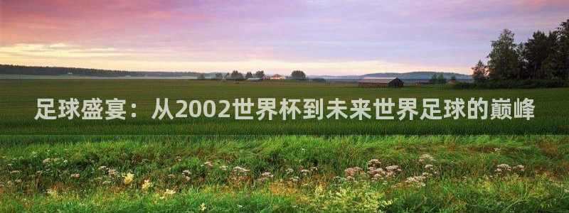 澳门世界杯直播：足球盛宴：从2002世界杯到未来世界足球的巅峰