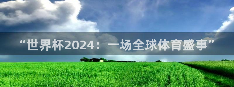 2026世界杯亚洲区预选赛：“世界杯2024：一场全球体育盛事”