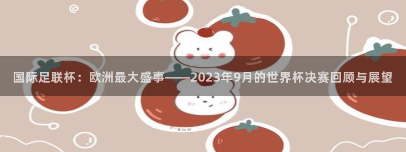 2026年世界杯赛程：国际足联杯：欧洲最大盛事——2023年9月的世界杯决赛回顾与展望