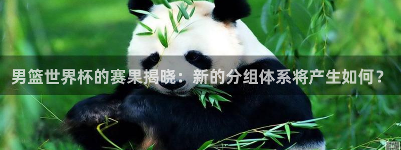 足球世界杯时间：男篮世界杯的赛果揭晓：新的分组体系将产生如何？